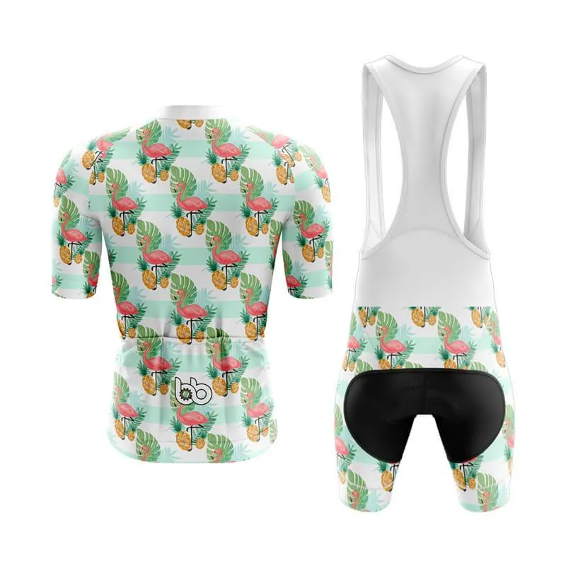 Flamingo New Aero Cycling Kit (V1)